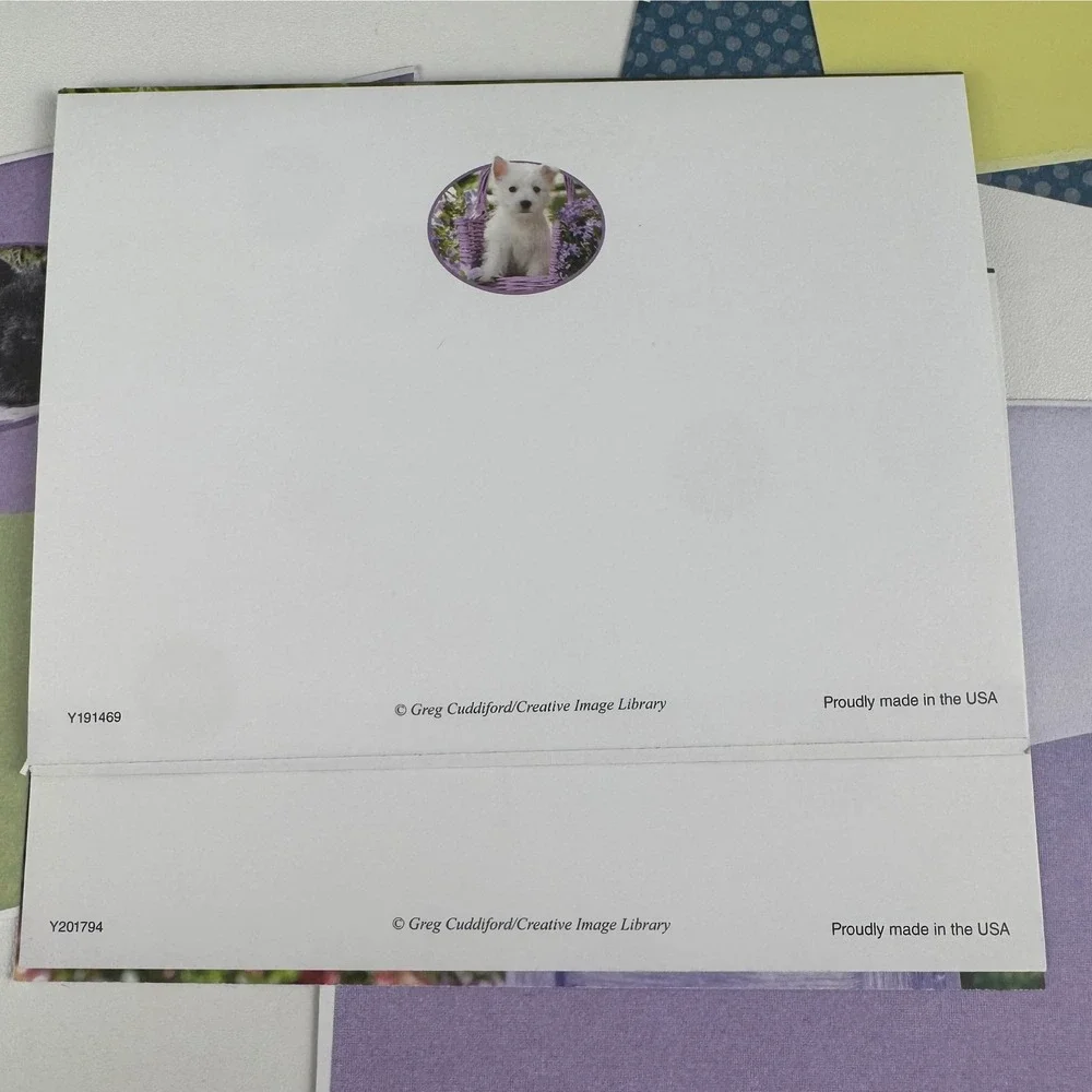 Jane Burton Puppy Get Well Soon Greeting‎ Cards Set of 3 with Envelopes USA Made